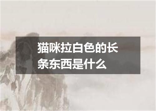 猫咪拉白色的长条东西是什么