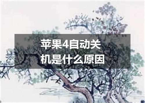 苹果4自动关机是什么原因