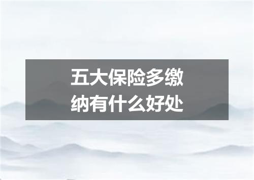 五大保险多缴纳有什么好处