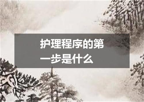 护理程序的第一步是什么
