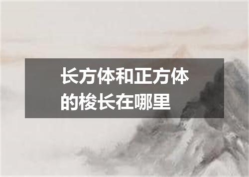 长方体和正方体的梭长在哪里
