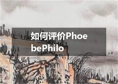 如何评价PhoebePhilo