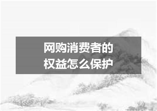 网购消费者的权益怎么保护