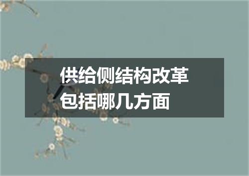 供给侧结构改革包括哪几方面
