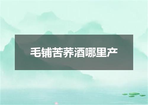 毛铺苦荞酒哪里产