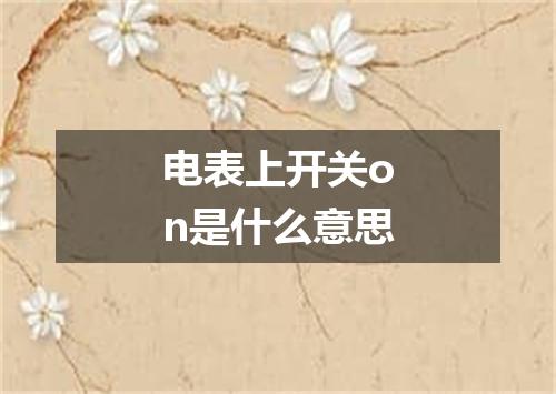 电表上开关on是什么意思