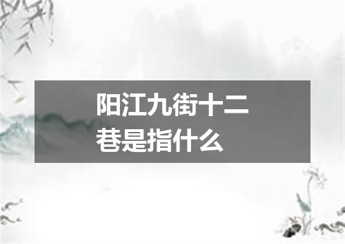 阳江九街十二巷是指什么