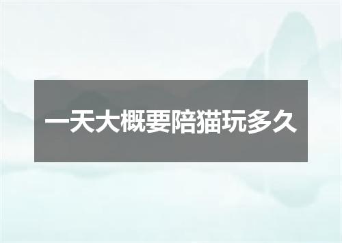 一天大概要陪猫玩多久