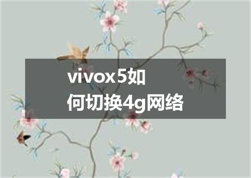 vivox5如何切换4g网络