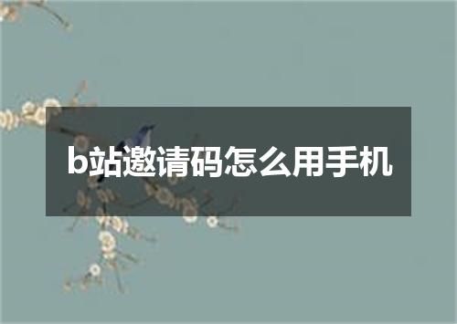 b站邀请码怎么用手机