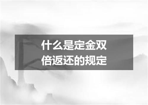 什么是定金双倍返还的规定