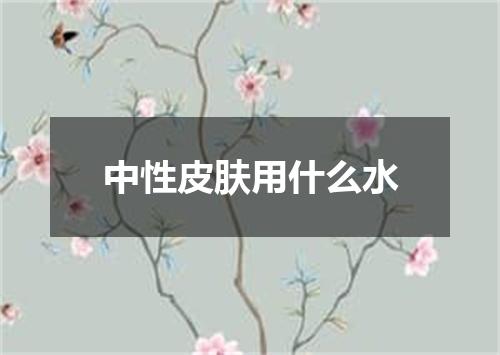 中性皮肤用什么水