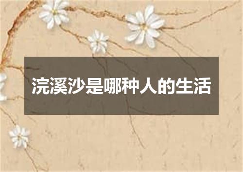 浣溪沙是哪种人的生活