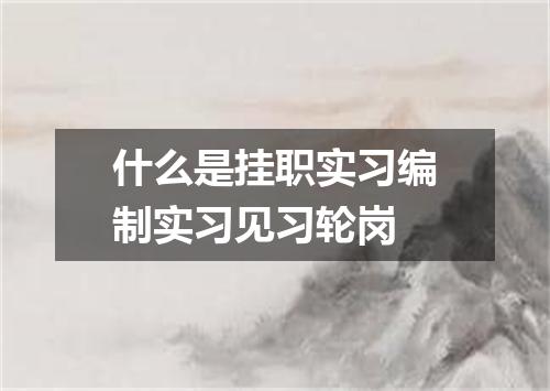 什么是挂职实习编制实习见习轮岗