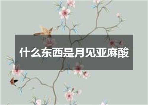 什么东西是月见亚麻酸