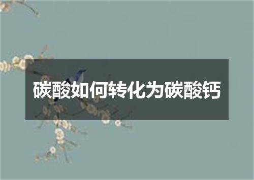 碳酸如何转化为碳酸钙