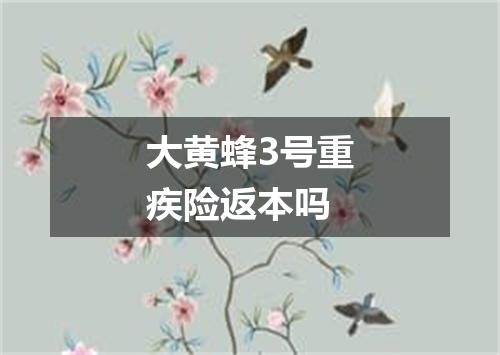 大黄蜂3号重疾险返本吗