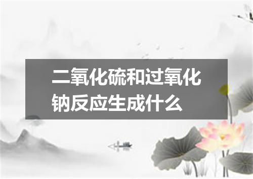 二氧化硫和过氧化钠反应生成什么