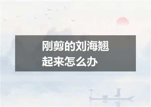 刚剪的刘海翘起来怎么办