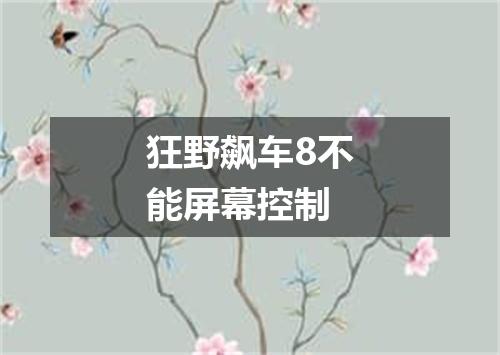 狂野飙车8不能屏幕控制