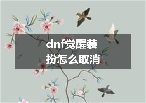 dnf觉醒装扮怎么取消