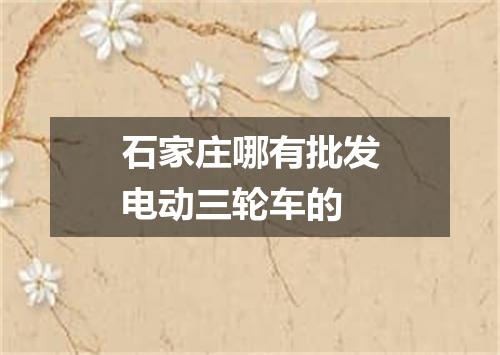 石家庄哪有批发电动三轮车的