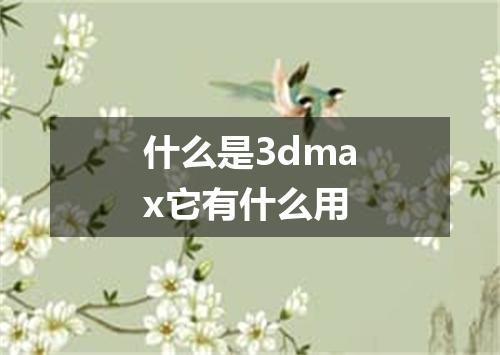 什么是3dmax它有什么用