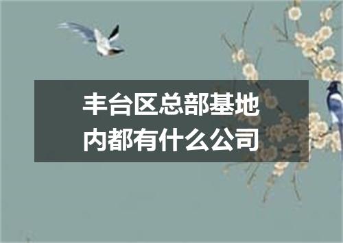 丰台区总部基地内都有什么公司