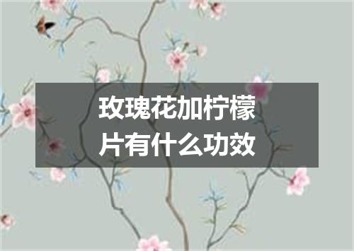 玫瑰花加柠檬片有什么功效