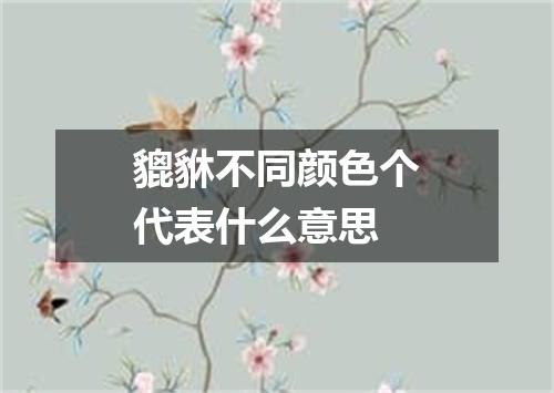 貔貅不同颜色个代表什么意思