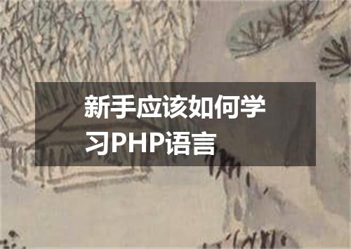 新手应该如何学习PHP语言