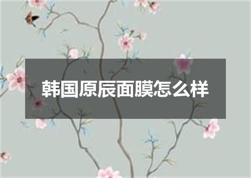 韩国原辰面膜怎么样