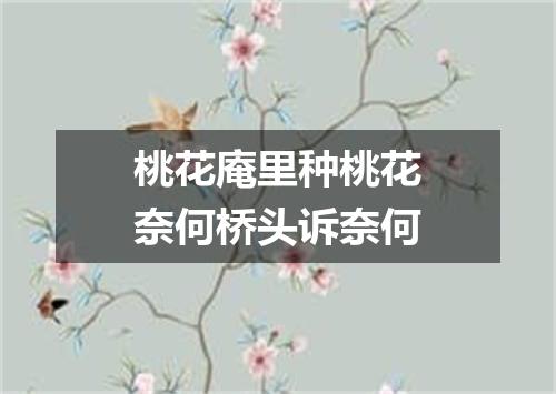 桃花庵里种桃花奈何桥头诉奈何