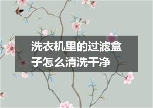 洗衣机里的过滤盒子怎么清洗干净
