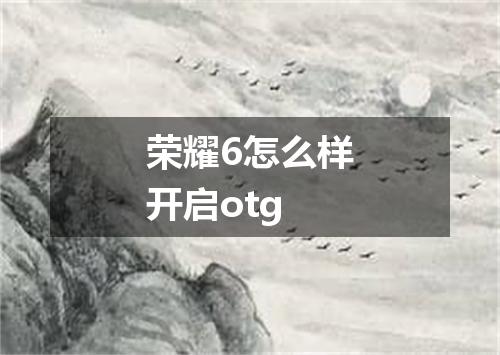 荣耀6怎么样开启otg