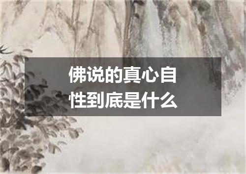 佛说的真心自性到底是什么