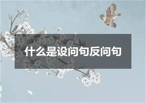什么是设问句反问句