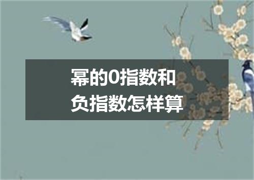幂的0指数和负指数怎样算