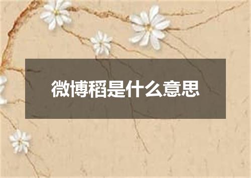 微博稻是什么意思