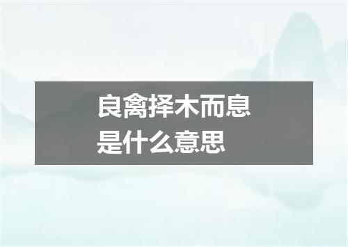 良禽择木而息是什么意思