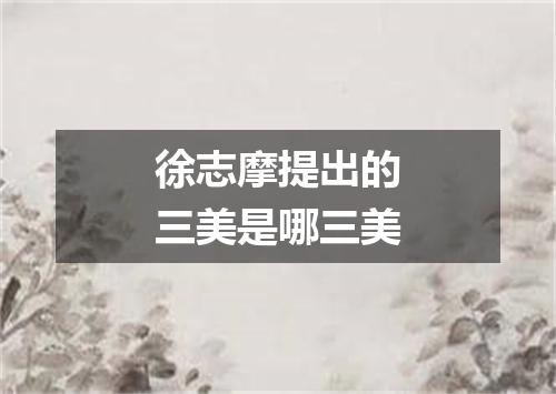 徐志摩提出的三美是哪三美