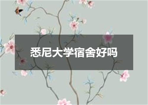 悉尼大学宿舍好吗