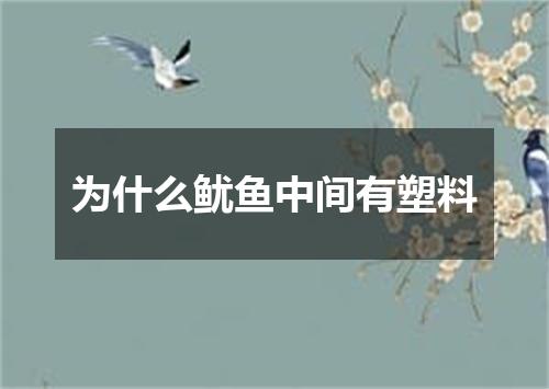 为什么鱿鱼中间有塑料