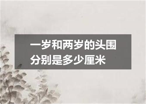 一岁和两岁的头围分别是多少厘米