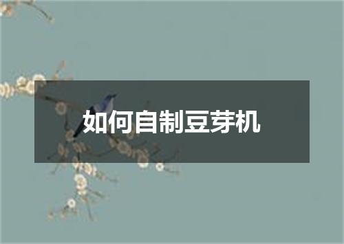 如何自制豆芽机