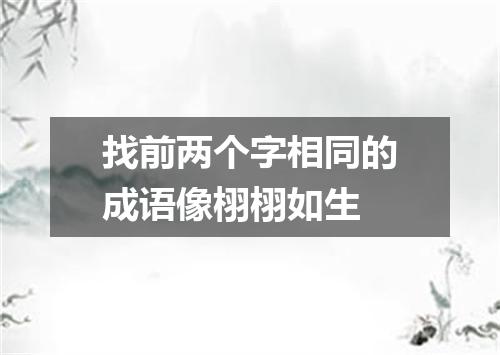 找前两个字相同的成语像栩栩如生