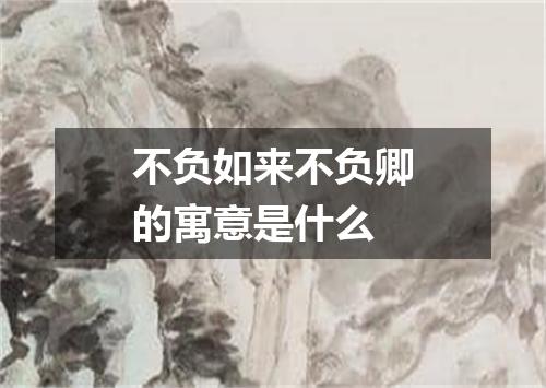 不负如来不负卿的寓意是什么