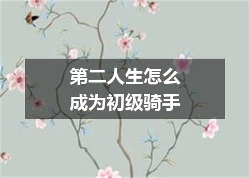 第二人生怎么成为初级骑手