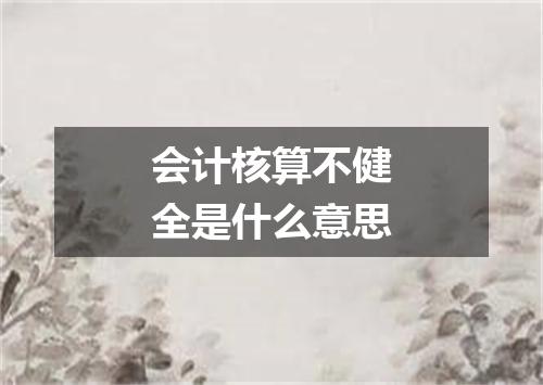 会计核算不健全是什么意思