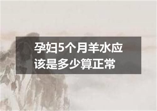 孕妇5个月羊水应该是多少算正常
